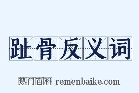 趾骨反义词是什么意思的图片